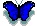 butterflyblue.gif (1427 octets)