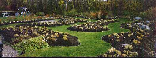 Arriere_Ouest_Automne.jpg (21626 octets)