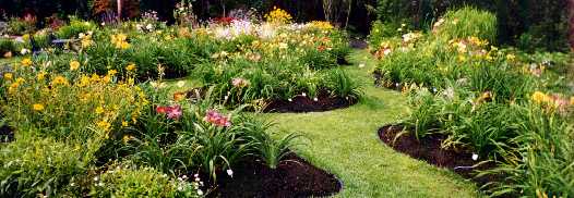 Arriere_Ouest_Ete.jpg (26246 octets)