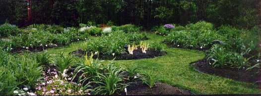 Arriere_Ouest_Printemps.jpg (21211 octets)