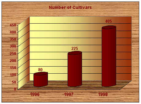 wpe2.jpg (25546 octets)