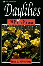 Hill.jpg (11234 octets)