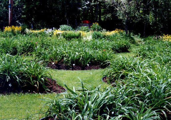 Arriere_Ouest_Printemps.jpg (21211 bytes)