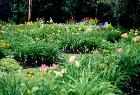 08CoinOuest19990716.jpg (60219 octets)