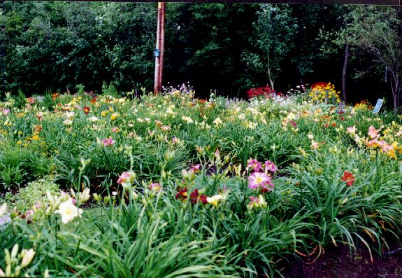 08CoinOuest19990719.jpg (91139 octets)