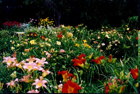 09Centre19990719.jpg (76066 octets)