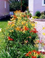 02_PlateBandeEntree.jpg (14941 octets)