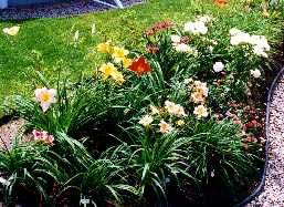 06_PlateBandeCotePiscine.jpg (16348 octets)