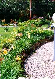 07_LongerPiscine.jpg (14809 octets)