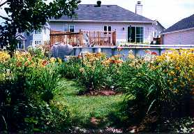 10_VueDuBoise.jpg (14913 octets)