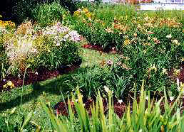 11_HenryAvenue.jpg (16887 octets)