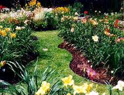 13_AvenueDuLac.jpg (15654 octets)