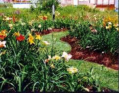 15_DerrierePiscine.jpg (16111 octets)