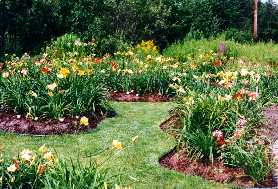 16_DerrierePiscineEst.jpg (16702 octets)