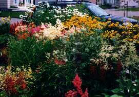 17_AvantCoteOuest.jpg (13694 octets)