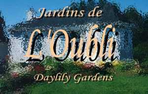 logo1.jpg (12629 octets)